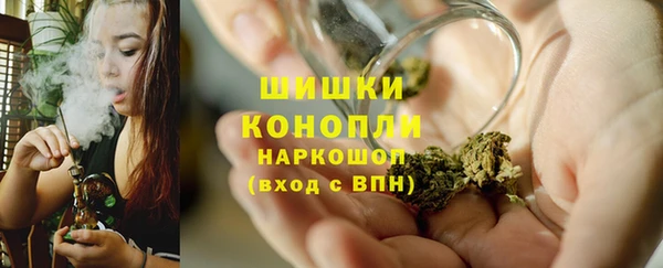 гашик Бородино