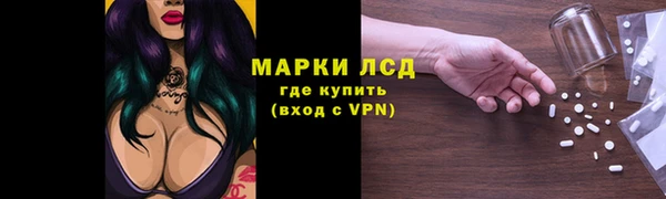 гашик Бородино