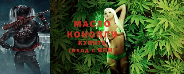гашик Бородино