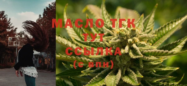 гашик Дмитриев