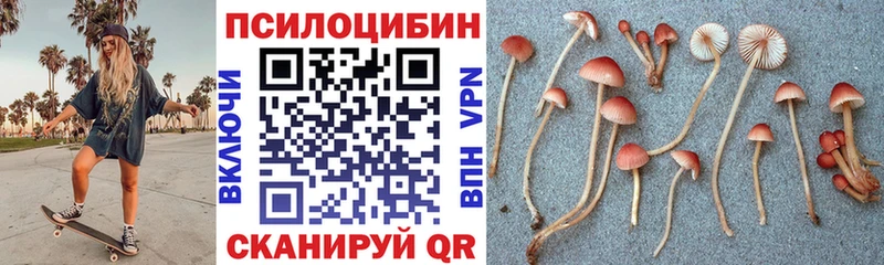 где купить наркоту  Вихоревка  Галлюциногенные грибы GOLDEN TEACHER 
