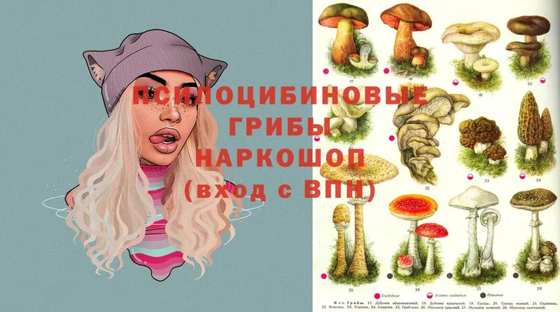 Псилоцибиновые грибы MAGIC MUSHROOMS  наркотики  Вихоревка 